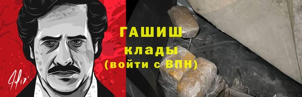 PSILOCYBIN Кукмор
