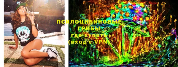 PSILOCYBIN Кукмор